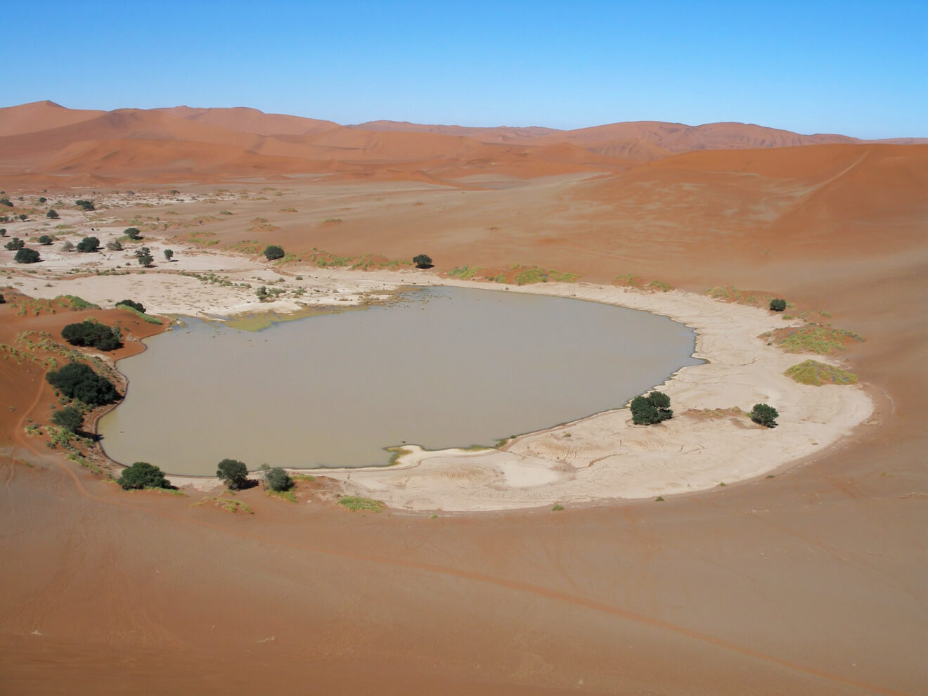 Die Tonpfanne des Sossusvlei steht unter Wasser, ringsum Kameldornbäume und rote Dünen