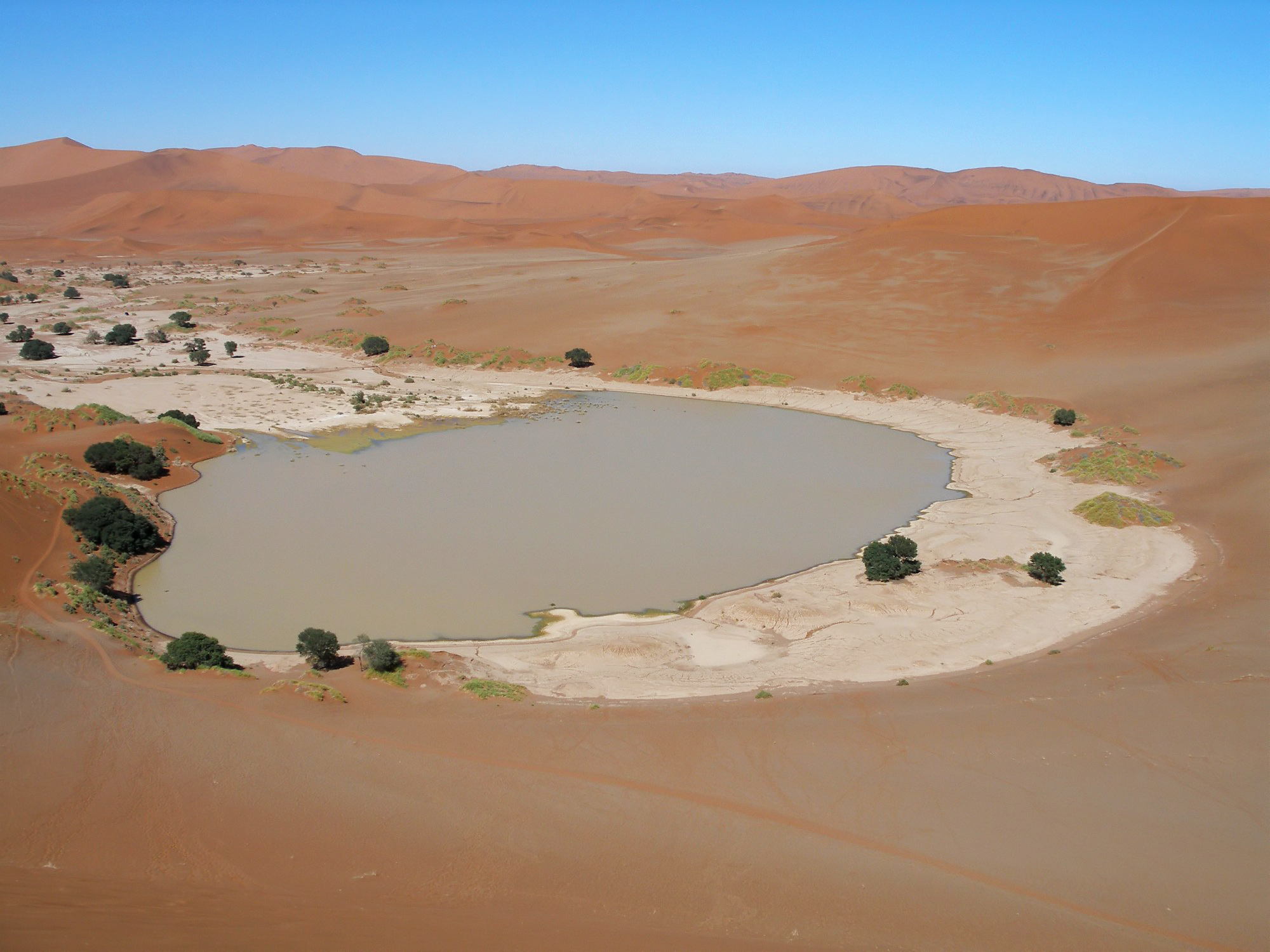 Die Tonpfanne des Sossusvlei steht unter Wasser, ringsum Kameldornbäume und rote Dünen