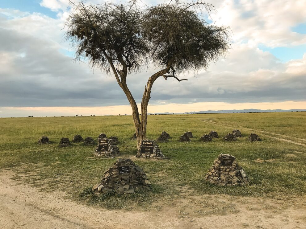 Steinhügel mit dunklen Tafeln stehen in einem Halbkreis unter einer Akazie, auf zwei Tafeln stehen Suni und Sudan