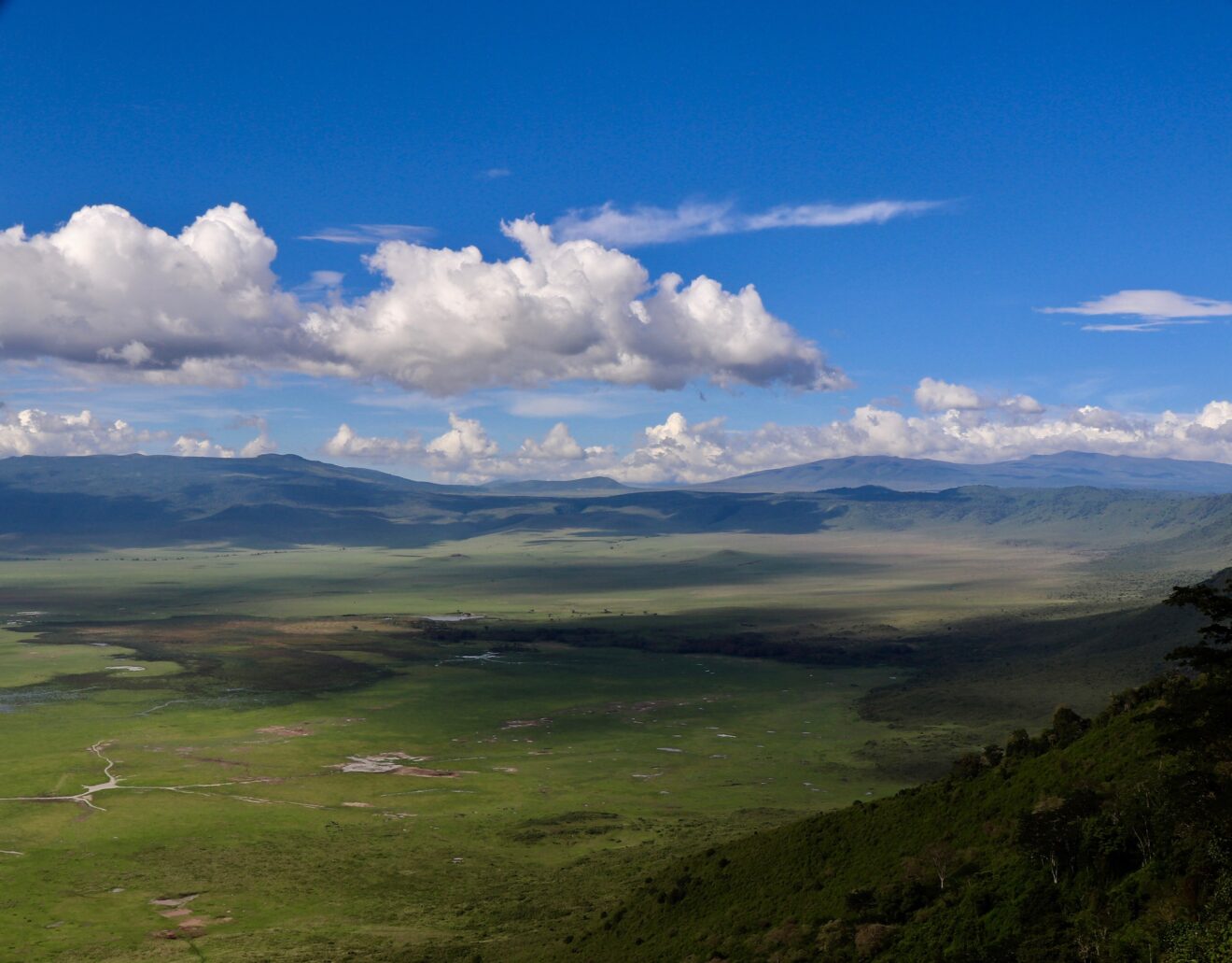 Blick vom Kraterrand über den grünen Kraterboden des Ngorongoro-Kraters in Tansania unter Quellwolken