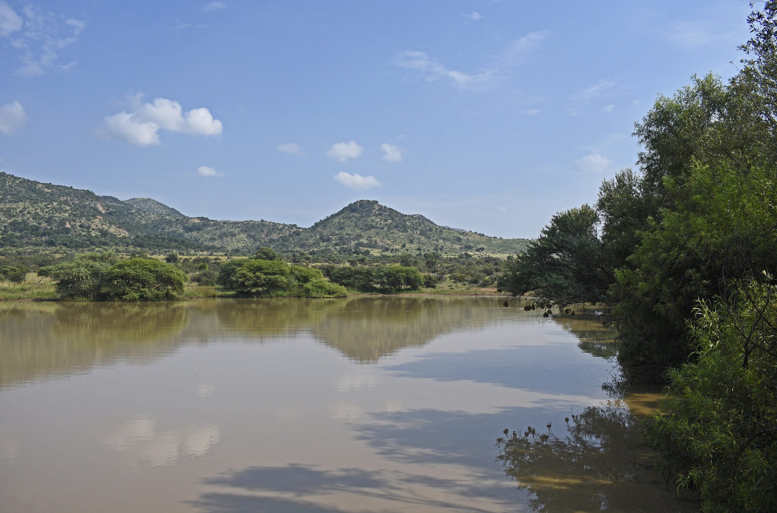 Blick aus dem Ratlhogo-Versteck auf das Wasserloch mit Büschen am Ufer und Hügeln im Hintergrund, Pilanesberg-Nationalpark