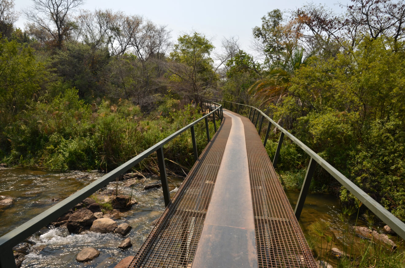 Schmaler Metallsteg mit Geländer über einen steinigen Seitenarm des Okavango, umgeben von Uferwald
