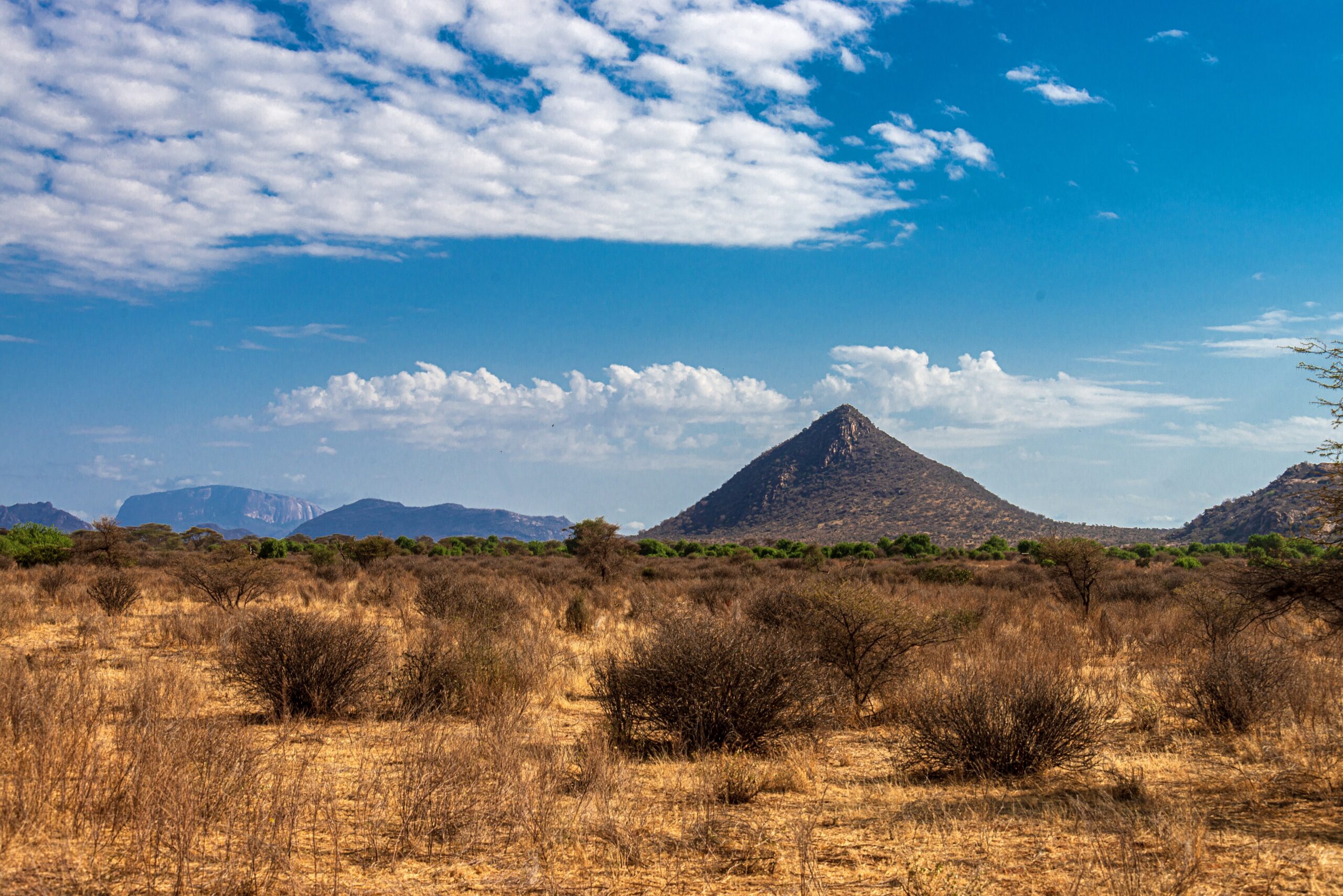 Trockene Buschlandschaft mit Felsbergen, darunter der Ololokwe, im Samburu-Nationalreservat