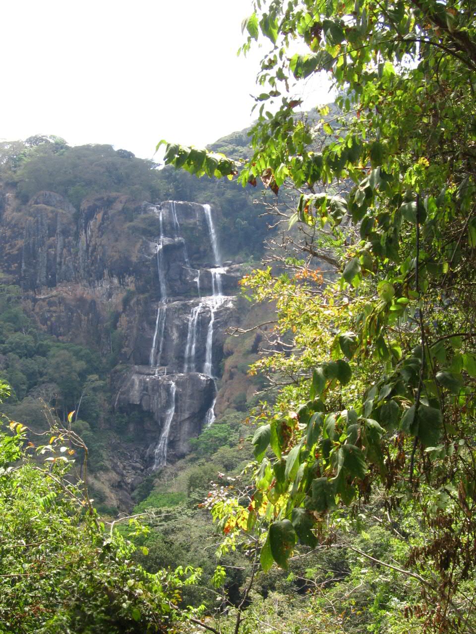 Blick durch Laub auf eine hohe Felswand, über die der Wasserfall in mehreren Stufen fällt.