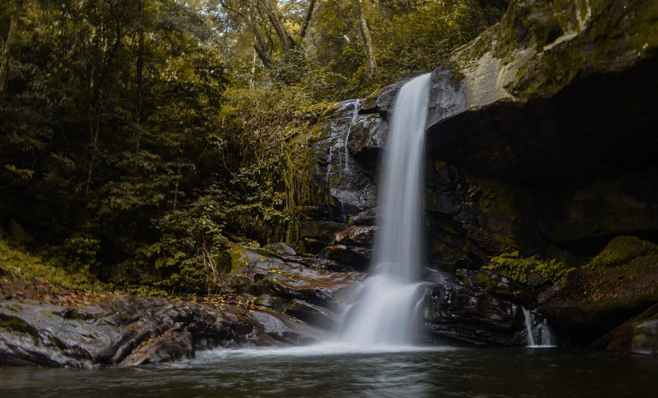 Ein schmales Wasserband fällt über eine moosige Felswand in ein dunkles Becken, ringsum Bergwald.