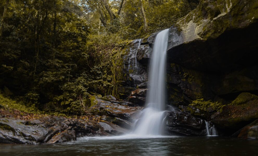 Ein schmales Wasserband fällt über eine moosige Felswand in ein dunkles Becken, ringsum Bergwald.