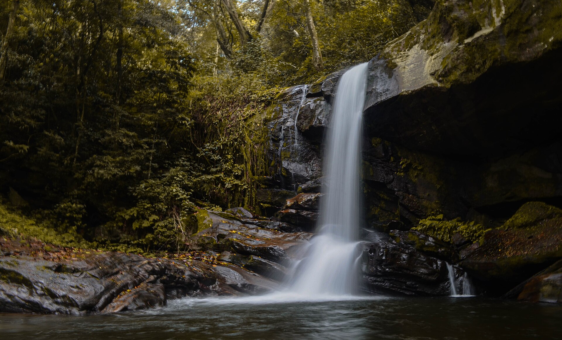 Ein schmales Wasserband fällt über eine moosige Felswand in ein dunkles Becken, ringsum Bergwald.