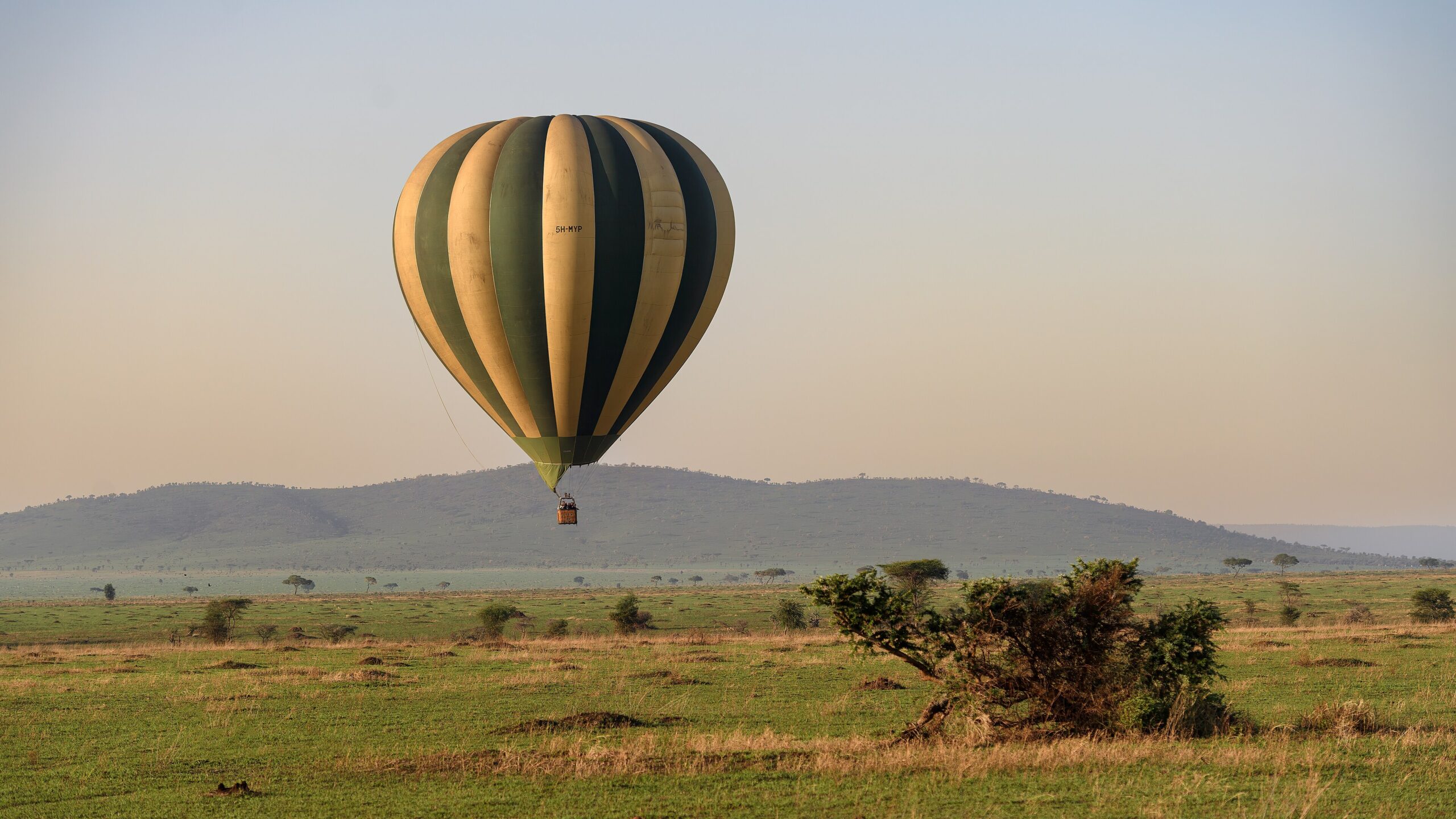 Heißluftballon schwebt kurz nach Sonnenaufgang tief über der Grasebene der Serengeti, dahinter ein flacher Hügelzug