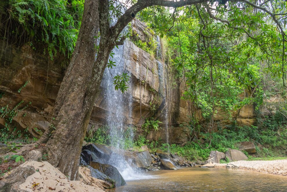 Dünner Wasserfall an einer Sandsteinwand mit Farnen, davor ein schräger Baum, Felsblöcke und ein ruhiges Becken mit Sandufer