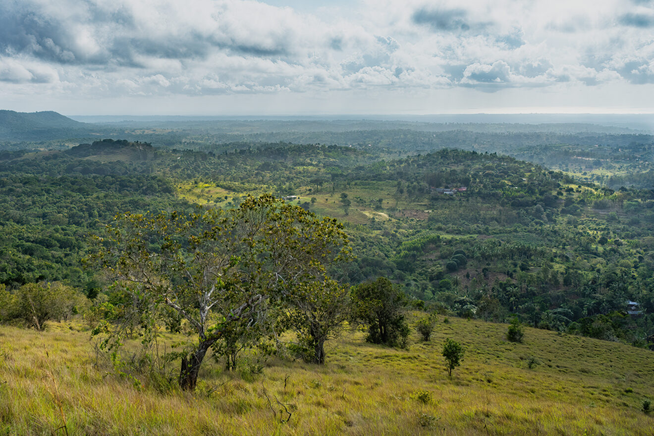 Blick vom Giriama Point über Grashang, bewaldete Hügel und Dörfer in der Ebene, Shimba-Hills-Nationalreservat