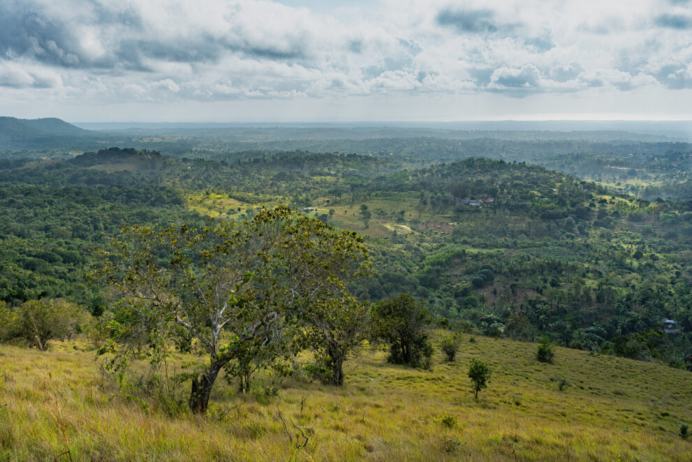 Blick vom Giriama Point über Grashang, bewaldete Hügel und Dörfer in der Ebene, Shimba-Hills-Nationalreservat