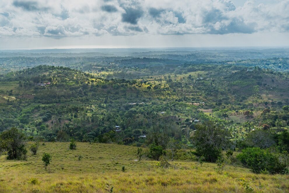 Grashang im Vordergrund, darunter Hügel mit Palmen, Feldern und einzelnen Häusern, hinten der Indische Ozean unter Wolken.