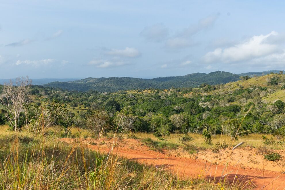 Rote Erdpiste vor einem Grasstreifen, dahinter dichter Wald und bewaldete Hügel des Reservats unter hellem Himmel.