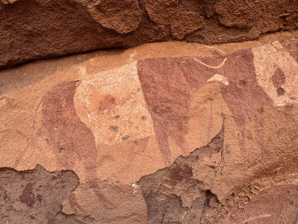 Prähistorische Felsmalerei mit großen Rindern unter einem Felsdach im Roten Tadrart, Algerien