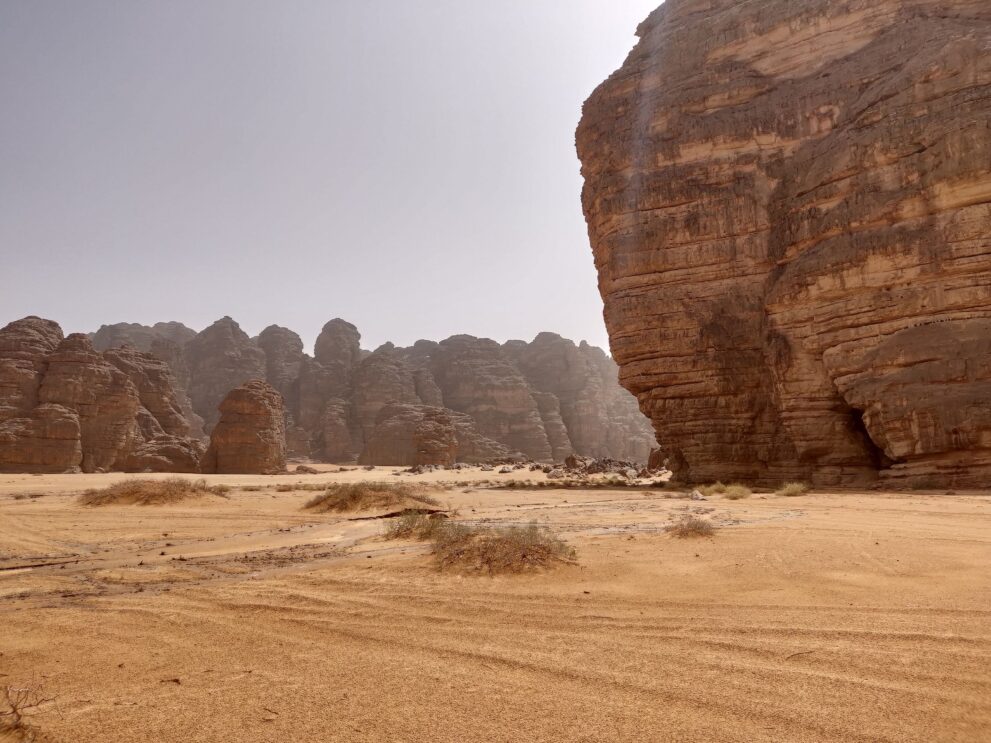 Sandsteinfelsen bei Tikoubaouine nordwestlich von Djanet, Wüstenboden mit Grasbüscheln