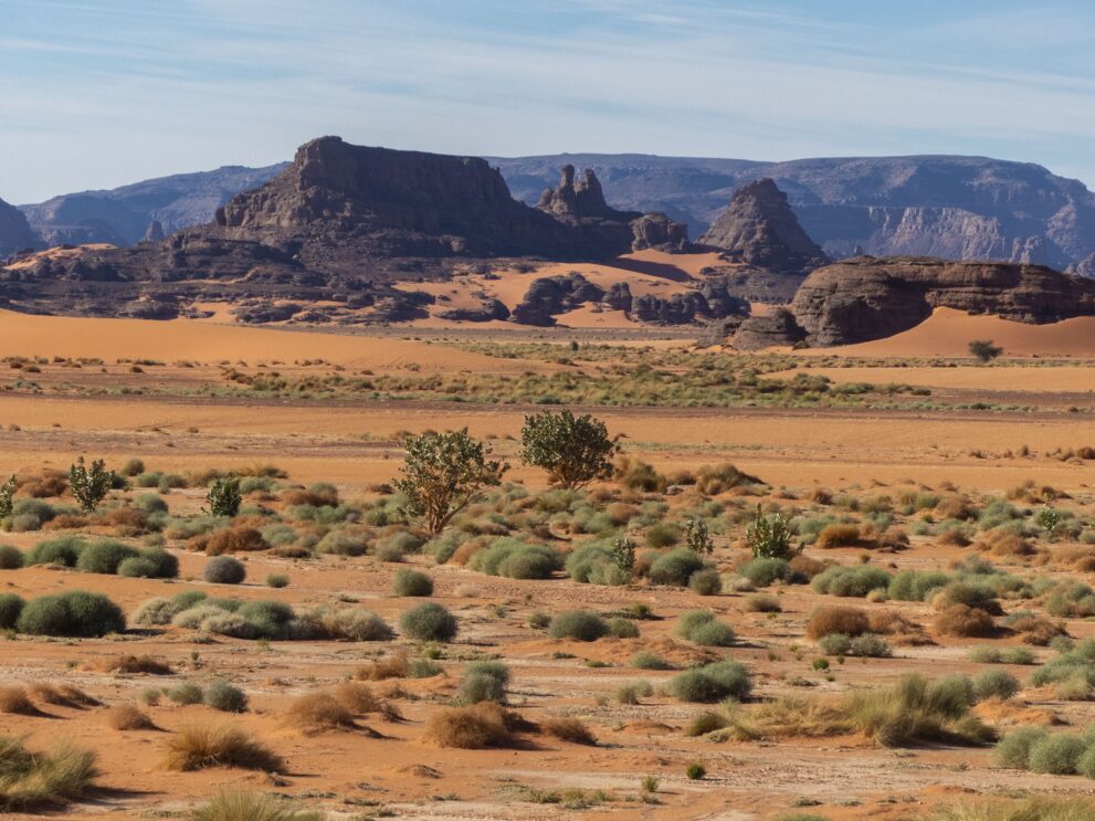 Grasbüschel und Sträucher in der Ebene von Tin Merzouga vor Tafelbergen und Dünen im Tadrart
