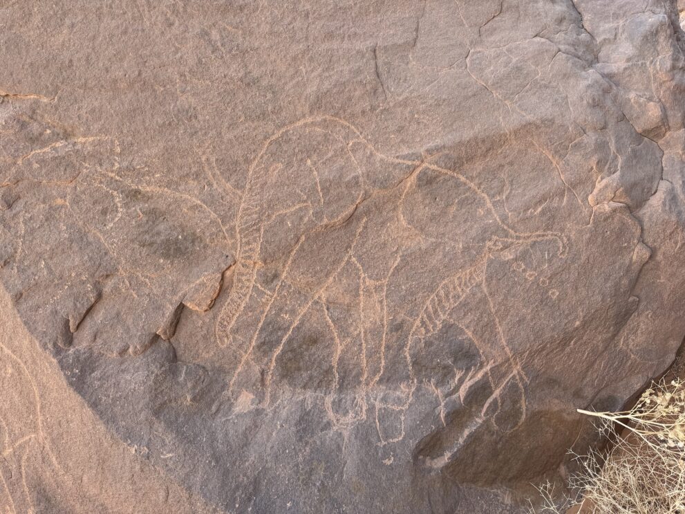Felsgravur mehrerer Elefanten auf dunklem Sandstein bei Tin Tefelghagh im Roten Tadrart, Algerien