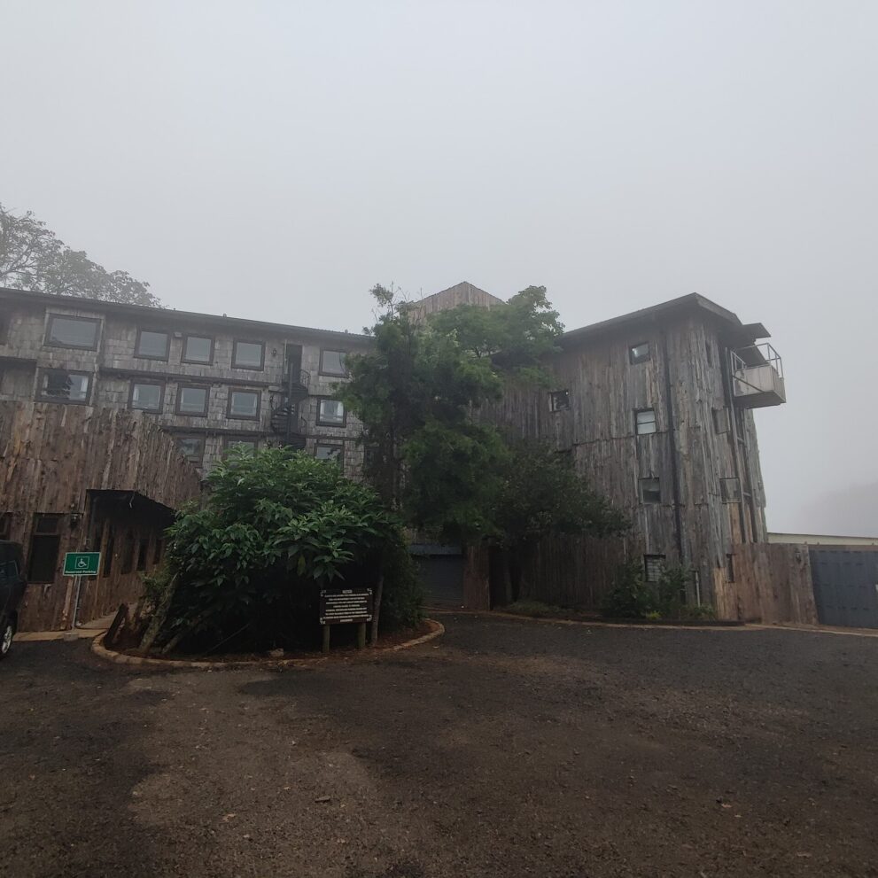 Holzfassade der Lodge mit Fensterreihen und Wendeltreppe im Morgennebel, davor ein Vorplatz mit Büschen