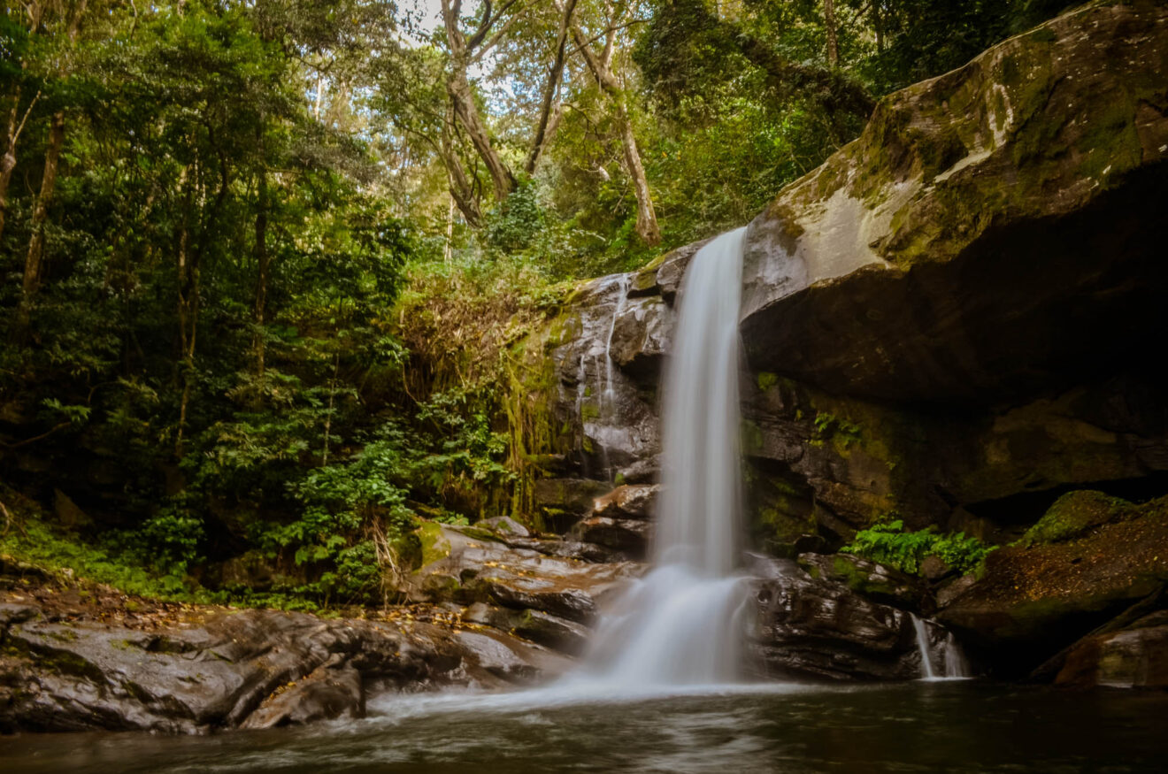 Ein schmaler Wasserfall stürzt über eine Felskante in ein Becken, ringsum Regenwald, am Weg zu den Sanje-Fällen im Udzungwa-Mountains-Nationalpark