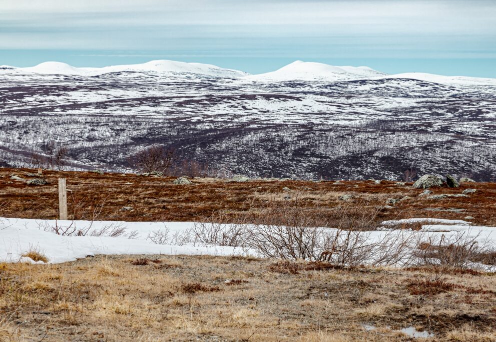 Blick vom Fjell Ailigas über verschneite Fjellrücken bei Utsjoki in Finnisch Lappland