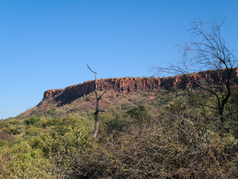 Die Felskante des Waterberg-Plateaus über einem bewaldeten Hang, gesehen von unten nahe dem Rastlager