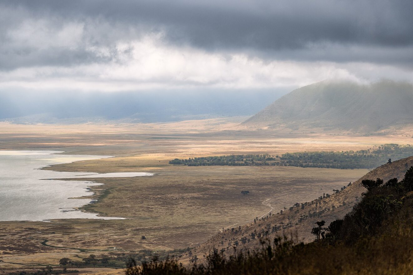 Blick von der Kraterwand auf den Magadi-See und einen dunklen Akazienwald, rechts schlängelt sich eine Piste den Hang hinunter
