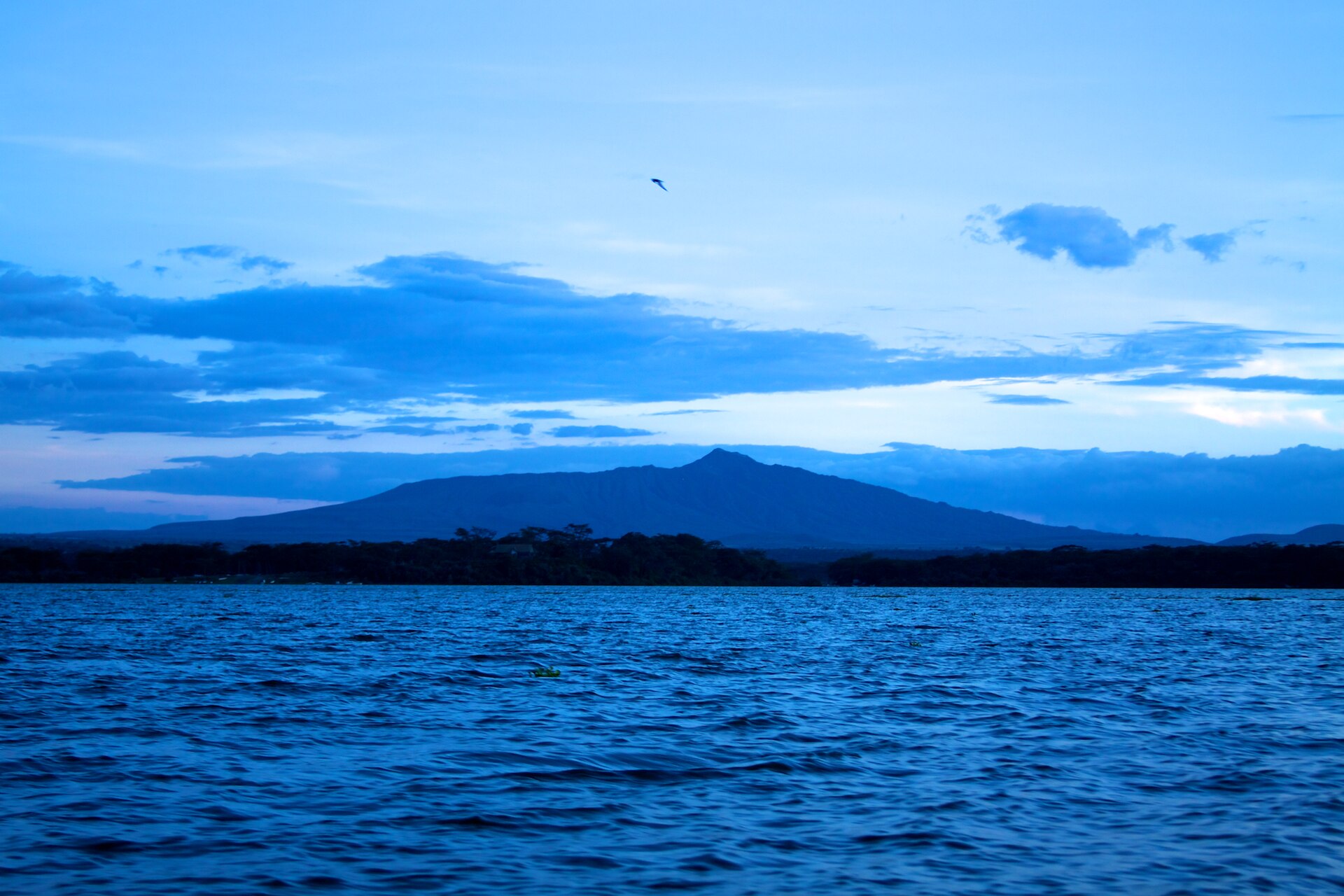 Abendlicht über dem Naivasha-See, hinter dem bewaldeten Ufer der breite Kegel des Mount Longonot unter blauen Wolken