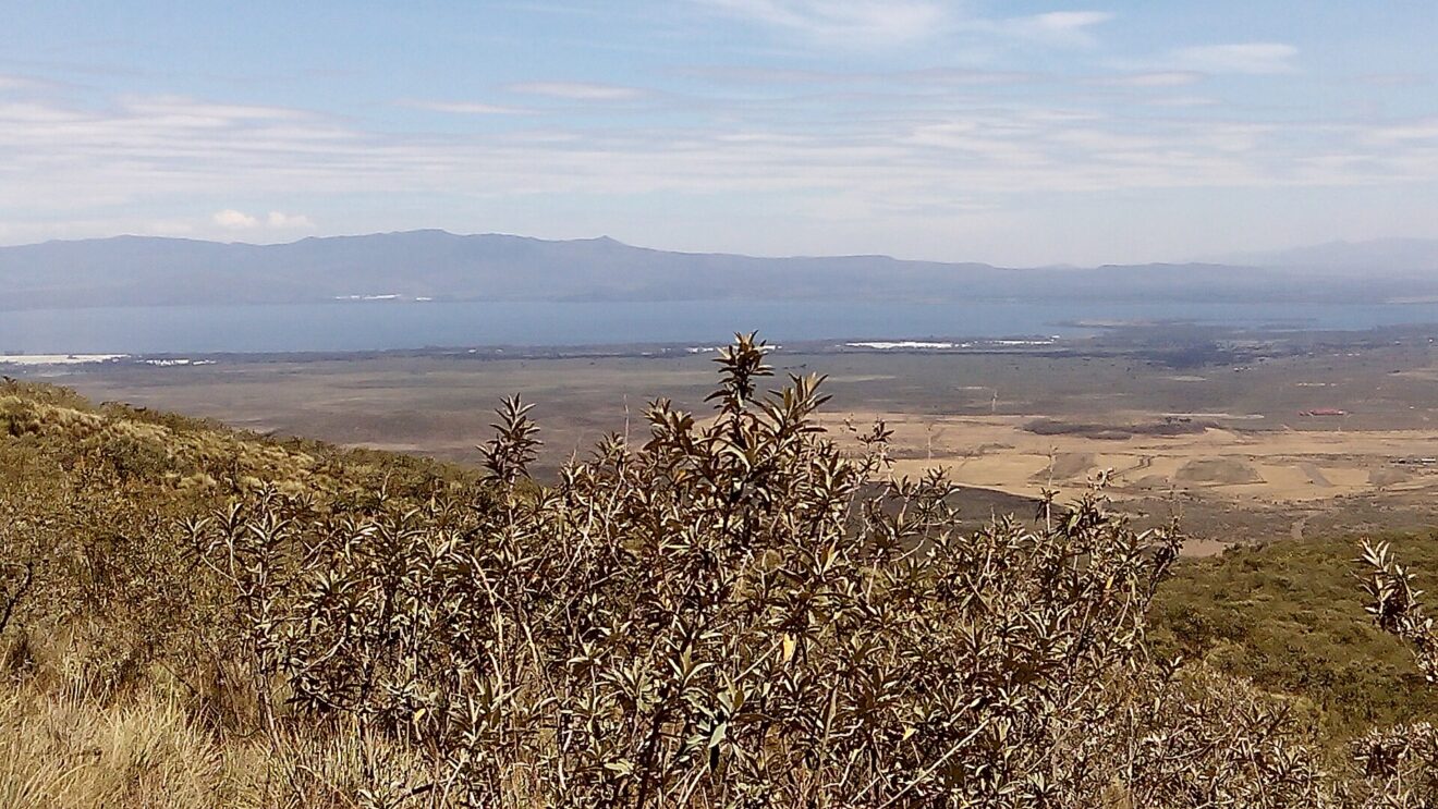 Vom Hang des Mount Longonot über trockenes Buschwerk auf die Ebene des Rift Valley, dahinter der Naivasha-See als blaues Band und eine Bergkette