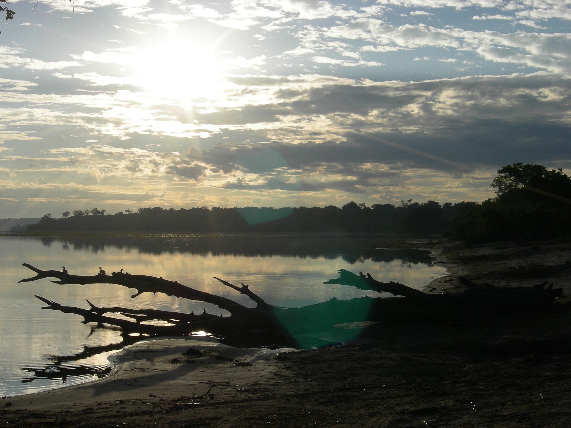 Morgensonne hinter Wolken über dem stillen Chobe, im Vordergrund ein umgestürzter toter Baum am Sandufer
