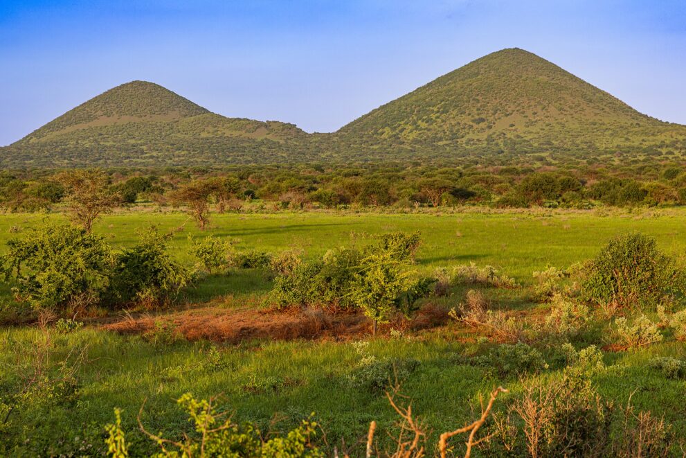 Zwei grün bewachsene Vulkankegel der Chyulu Hills im Abendlicht, davor eine grüne Grasebene mit Büschen und einzelnen Akazien.