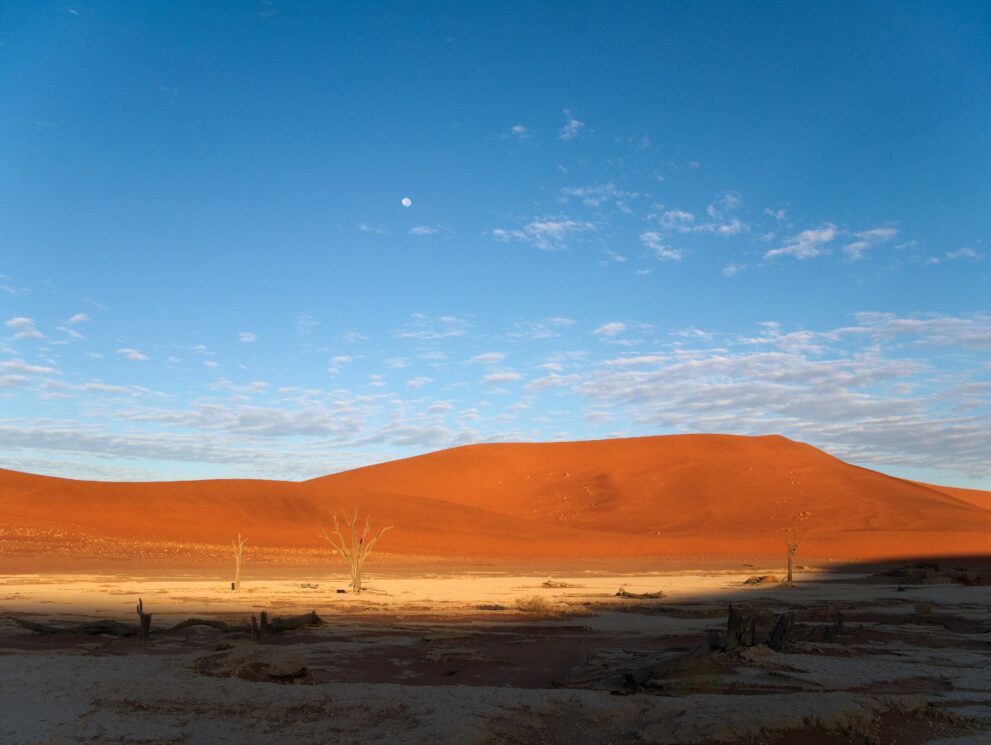 Morgenlicht im Deadvlei: Die rote Düne leuchtet in der Sonne, die Pfanne mit toten Bäumen liegt noch halb im Schatten, darüber der Mond.
