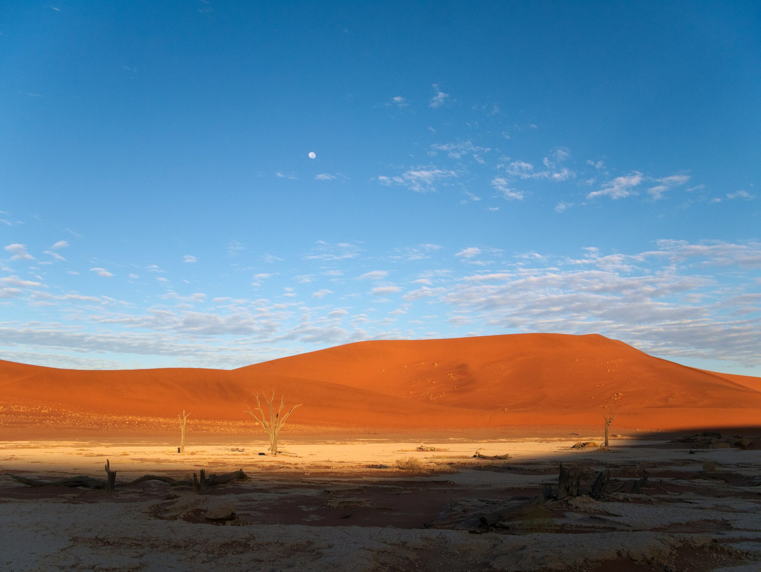 Morgenlicht im Deadvlei: Die rote Düne leuchtet in der Sonne, die Pfanne mit toten Bäumen liegt noch halb im Schatten, darüber der Mond.
