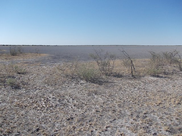 Graue, rissige Lehmfläche mit trockenem Gras und kahlen Sträuchern, dahinter eine weite, glatte Pfanne bis zum Horizont