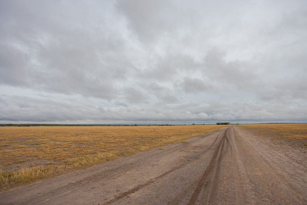 Eine Sandpiste mit Reifenspuren führt durch gelbes Grasland unter tiefen grauen Regenwolken