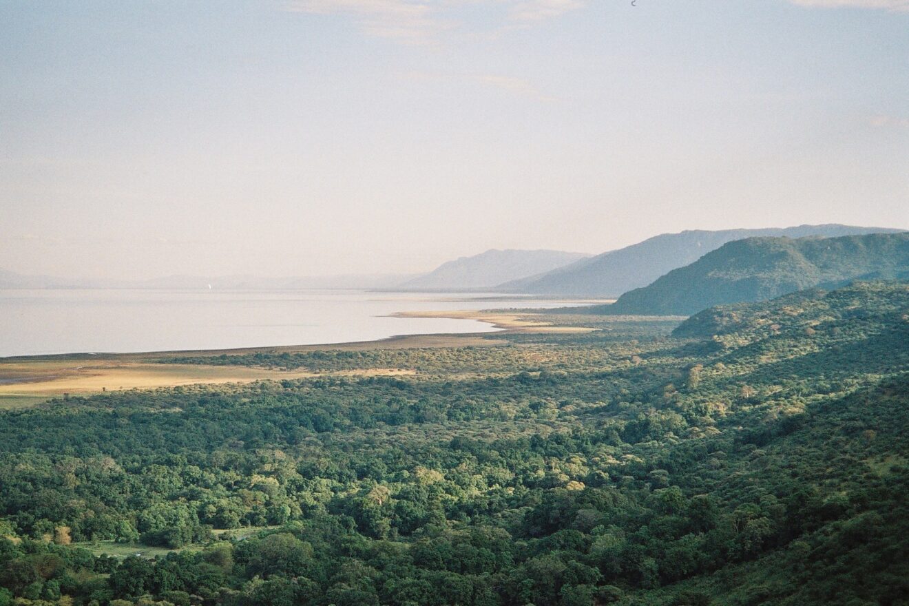 Blick von der Grabenkante über dichten grünen Wald auf den hellen Manyara-See, rechts ziehen die bewaldeten Hänge der Wand nach Süden