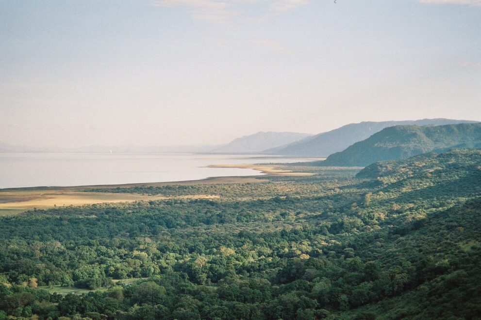 Blick von der Grabenkante über dichten grünen Wald auf den hellen Manyara-See, rechts ziehen die bewaldeten Hänge der Wand nach Süden