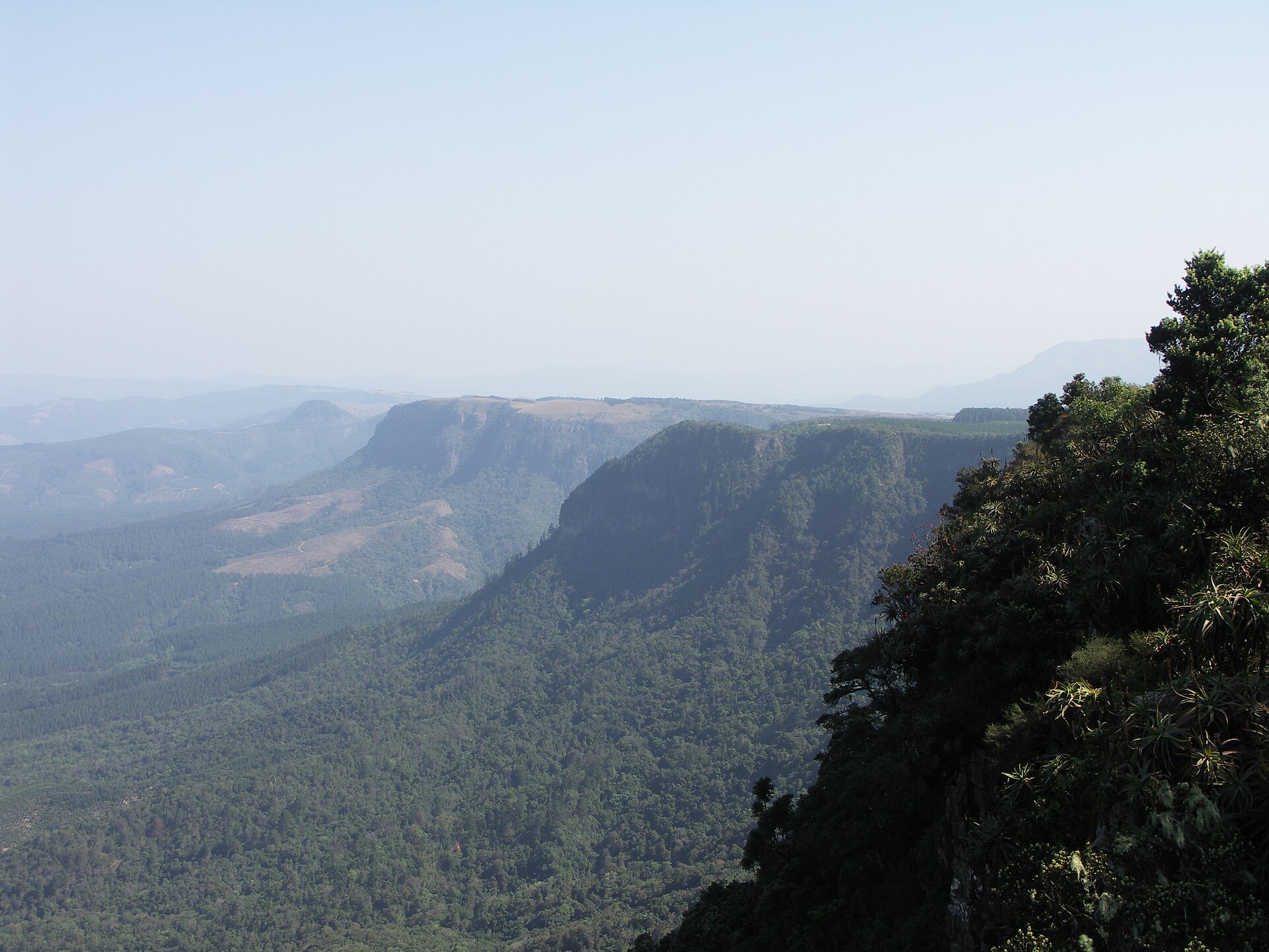 Bewaldete Steilwände des Escarpments ziehen sich in den Dunst, rechts vorne dichter Busch an der Kante