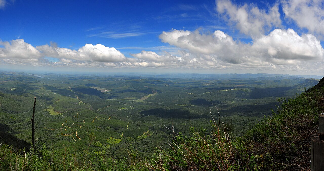 Weites, grünes Hügelland mit Wäldern und Wegen unter Kumuluswolken, rechts vorne Büsche an der Kante