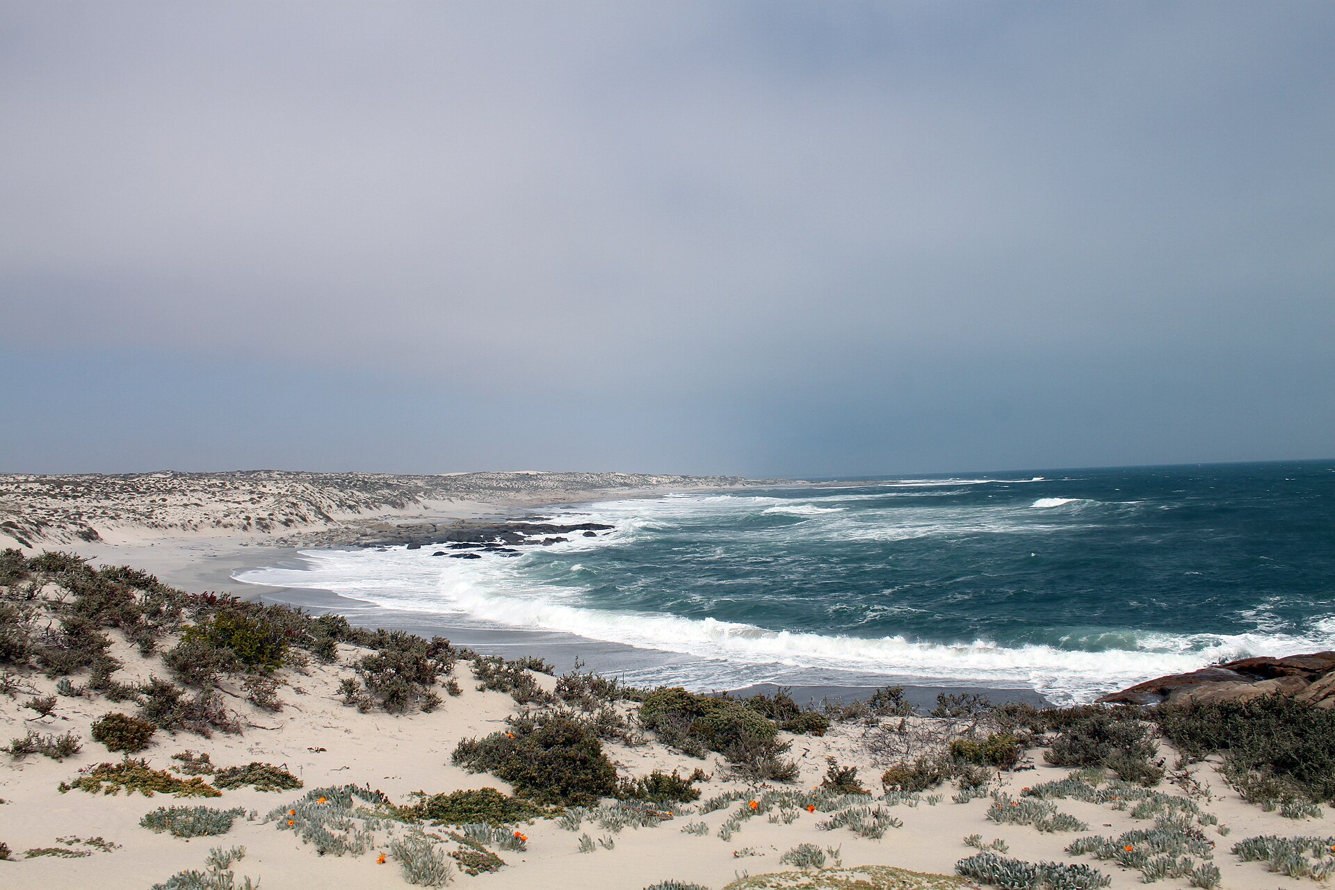Eine weite Bucht mit Brandung und hellem Sandstrand, davor bewachsene Dünen, darüber grauer Himmel
