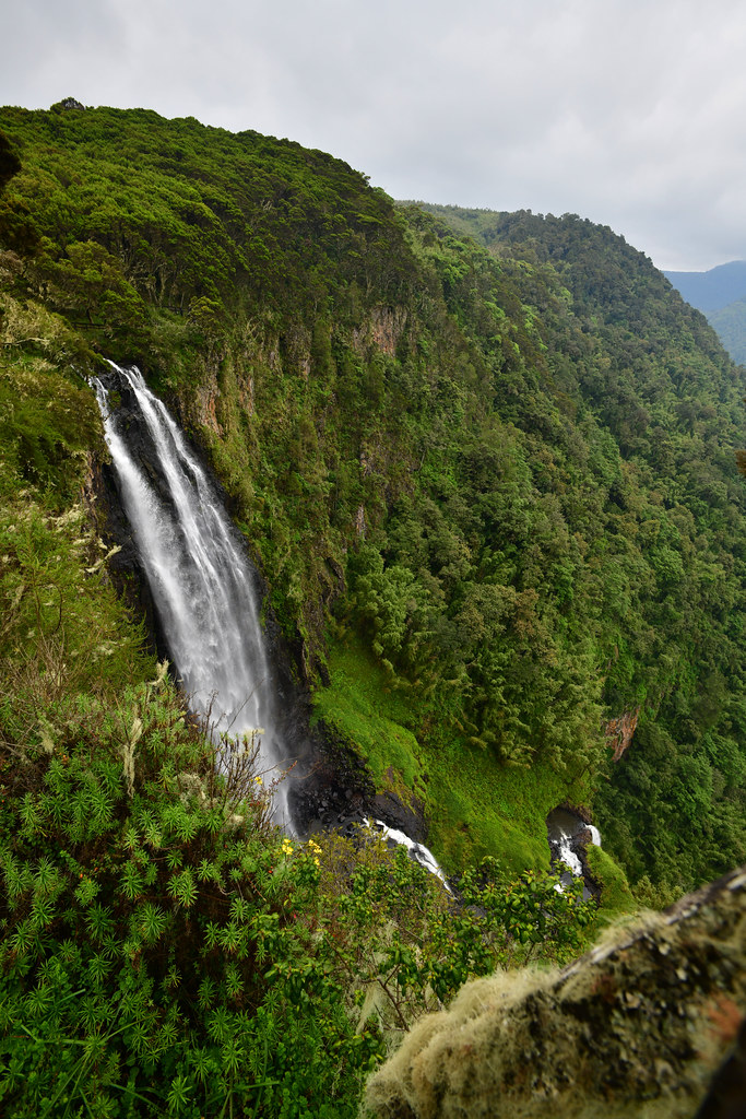 Blick von der Kante auf einen hohen Wasserfall, der an einer bewachsenen Felswand in eine grüne Schlucht stürzt; unten weitere kleine Stufen.