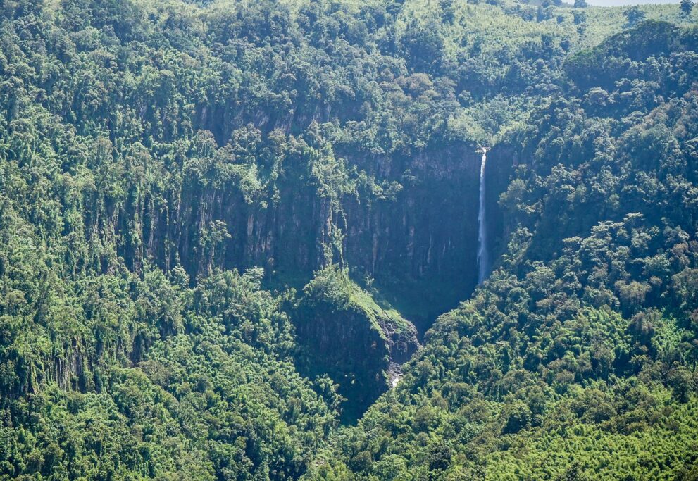 Ein schmaler Wasserfall stürzt aus einer senkrechten, bewaldeten Felswand in eine enge Schlucht.