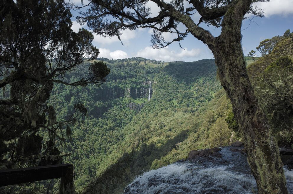 Unter Bäumen mit Flechten rauscht vorn Wasser zur Kante, gegenüber fällt ein schmaler Wasserfall aus einer Felswand im Bergwald.