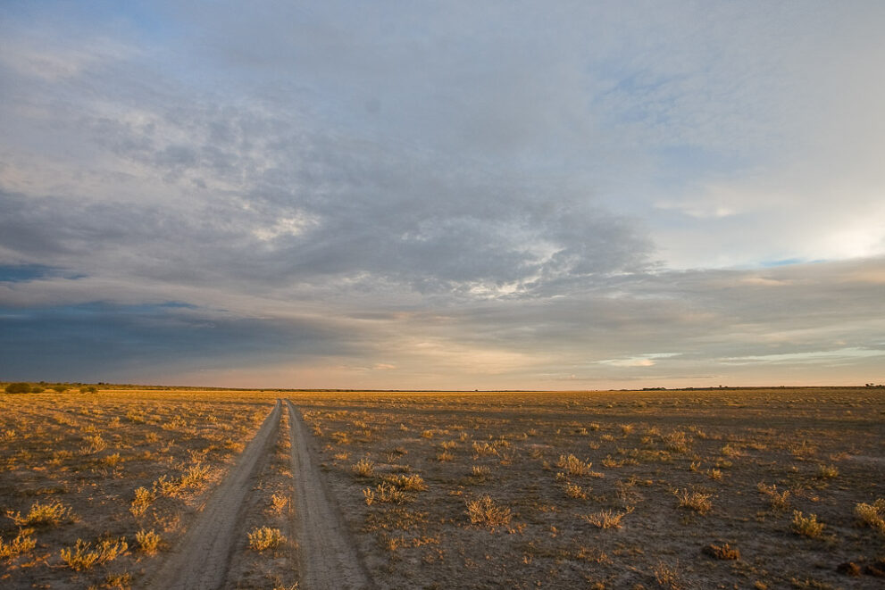 Eine zweispurige Sandpiste führt geradeaus über eine flache, spärlich bewachsene Pfanne bis zum Horizont, darüber graue Wolken im Abendlicht