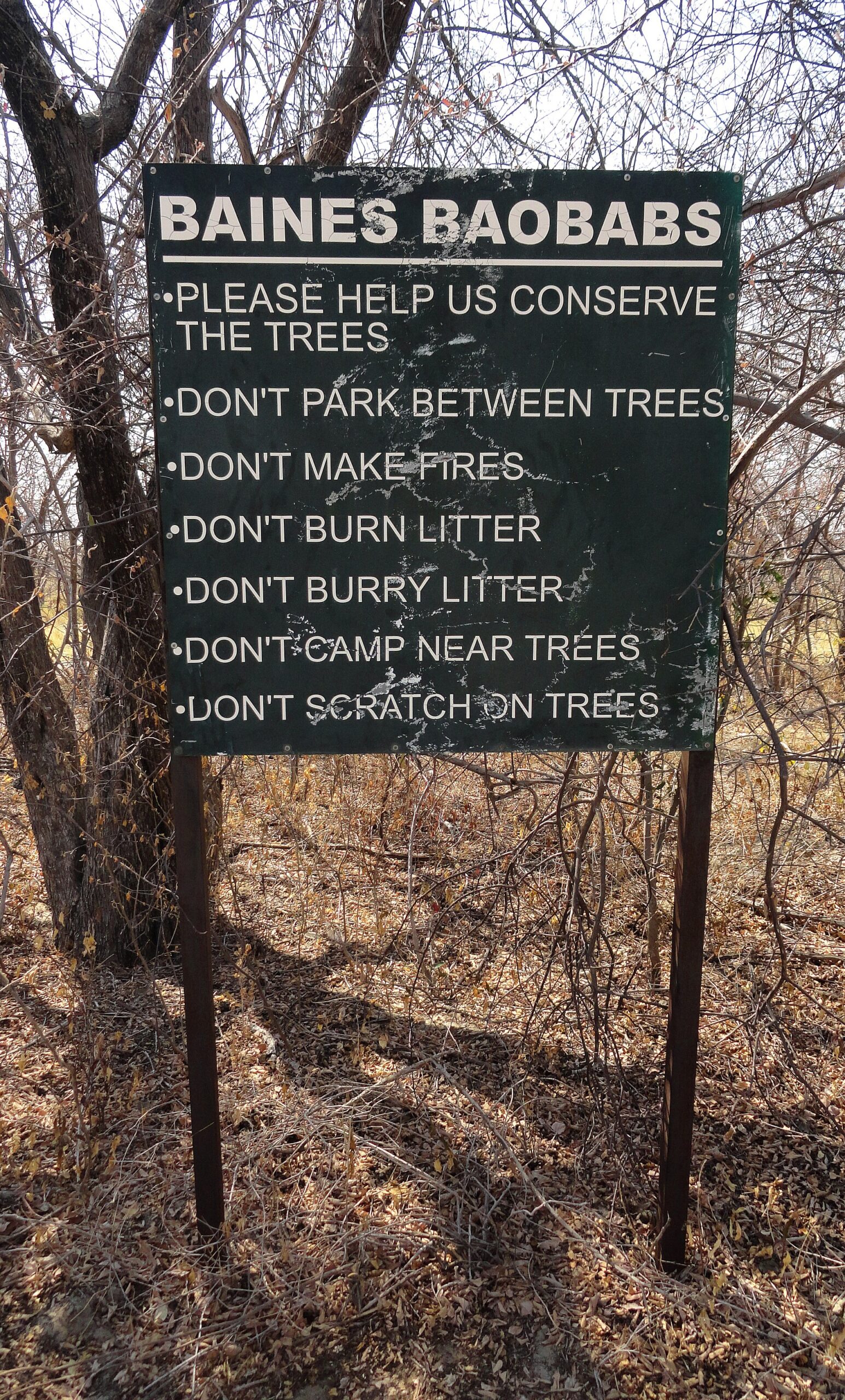 Grünes Holzschild zwischen kahlen Büschen mit der Überschrift Baines Baobabs und Regeln: nicht zwischen den Bäumen parken, kein Feuer, keinen Müll verbrennen oder vergraben, nicht bei den Bäumen campen, nichts in die Rinde ritzen.