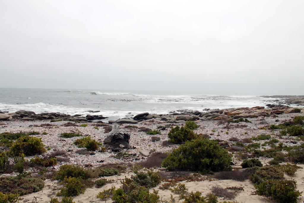 Kiesstrand mit runden Steinen und grünen Büschen, dahinter graues Meer mit Brandung