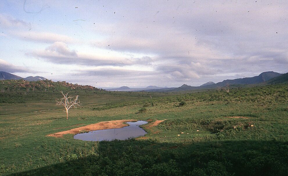 Weites grünes Tal mit einem Wasserloch und einem kahlen weißen Baum, links ein felsiger Hügel, rechts und hinten Bergketten unter Wolken.