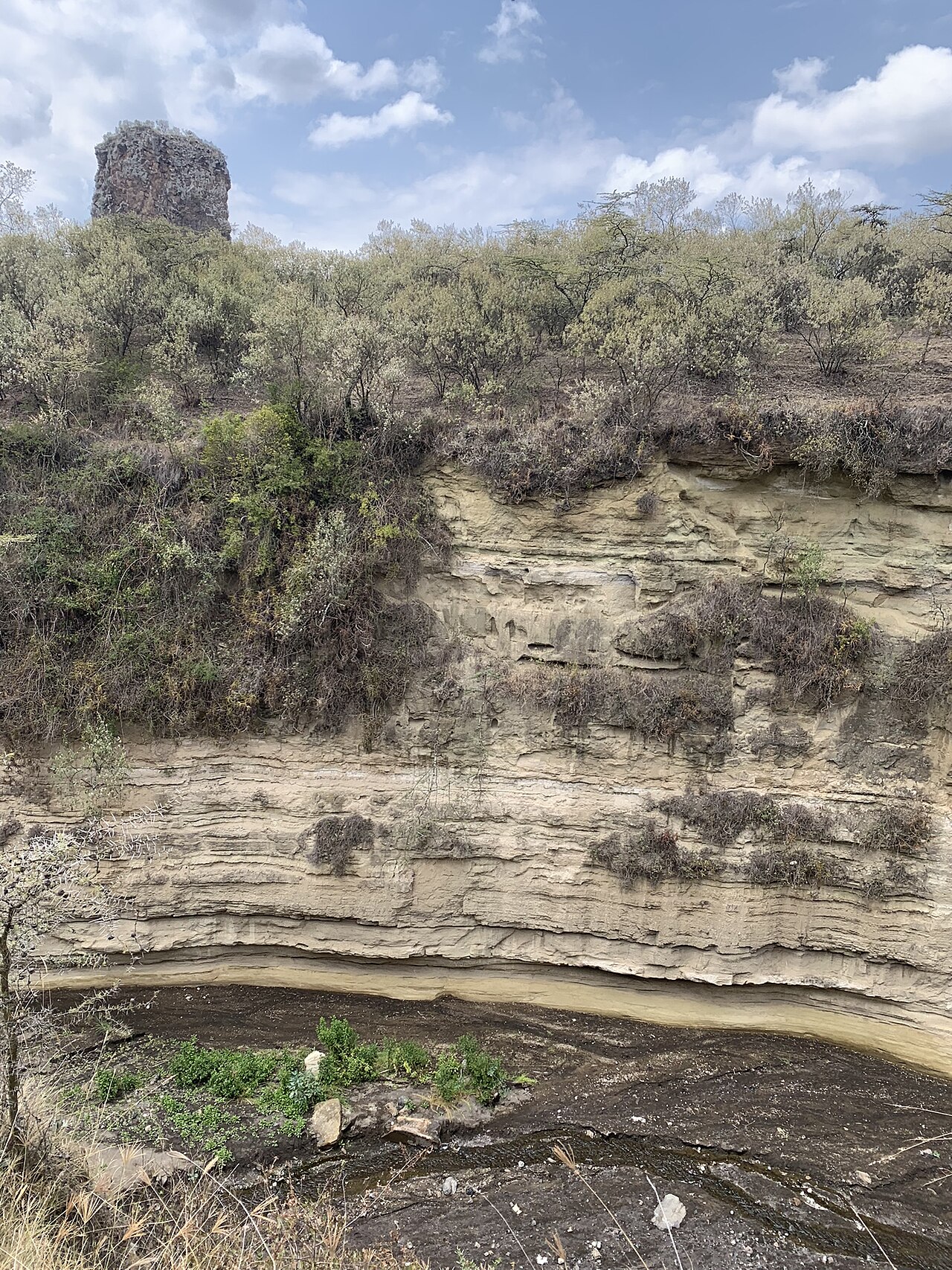 Blick von der Kante auf eine hohe, waagrecht geschichtete Felswand über einem dunklen Bachbett, oben Buschland und links der Central Tower.
