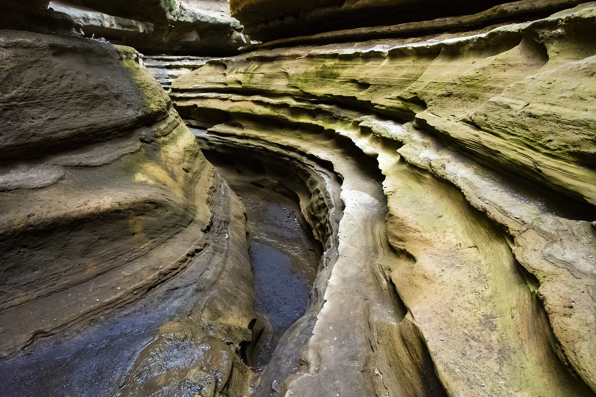 Vom Wasser glatt geschliffene, geschwungene Felsrinnen in grünlich-braunem Gestein, in der Mitte eine dunkle, feuchte Rinne.