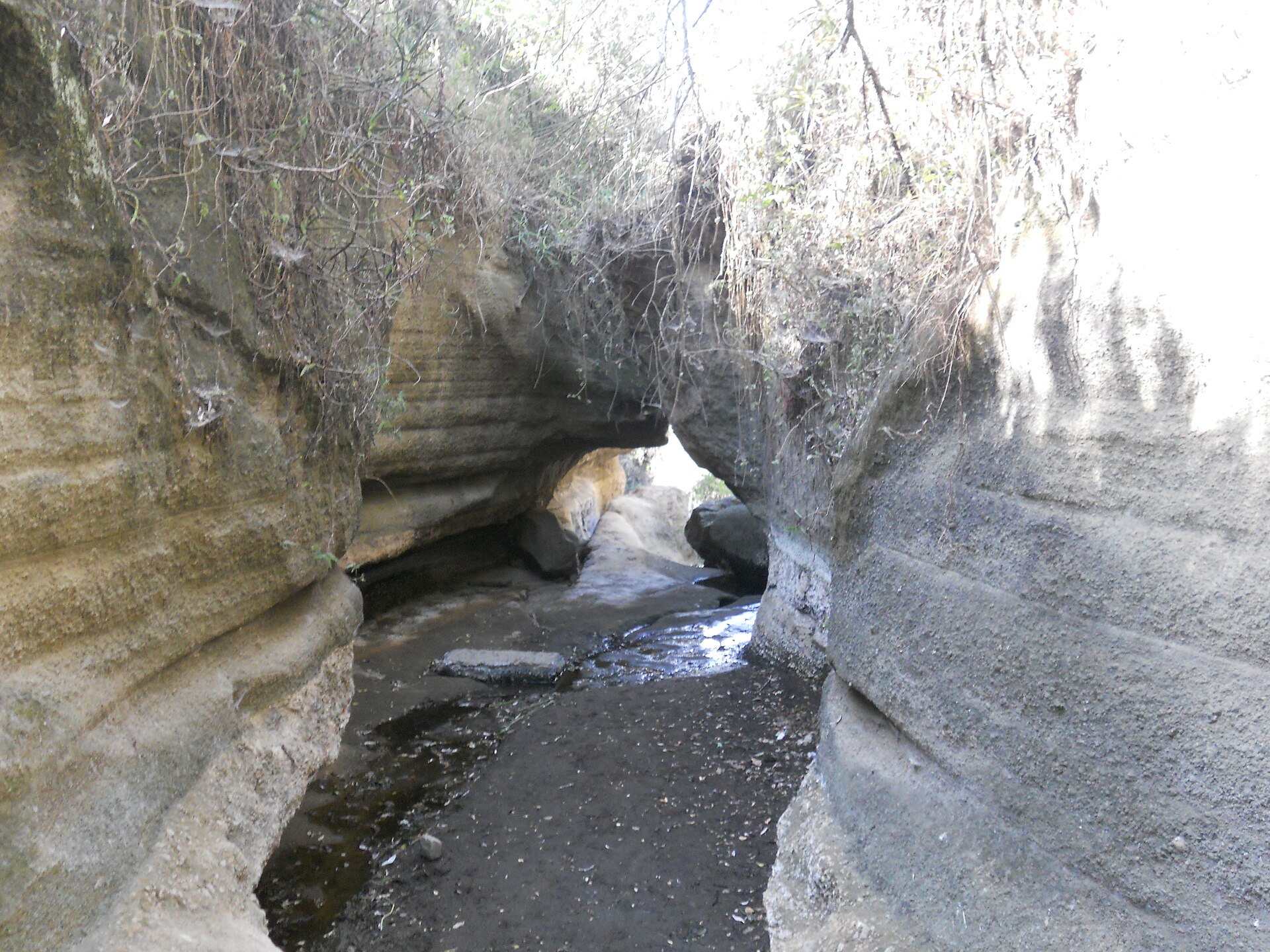 Schmaler Durchgang zwischen hellen, waagrecht gebänderten Tuffwänden, oben Gestrüpp, am Boden dunkler Sand und eine kleine Wasserrinne.
