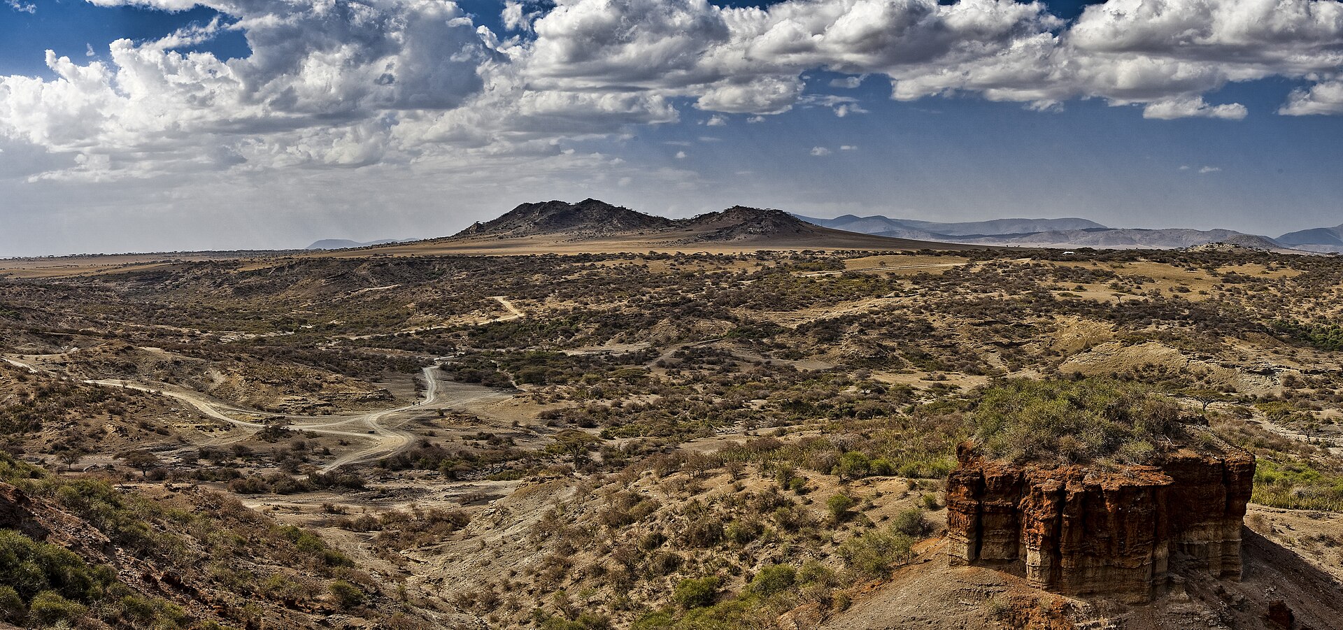 Panorama der Olduvai-Schlucht unter Wolken, Pisten winden sich durch das Buschland